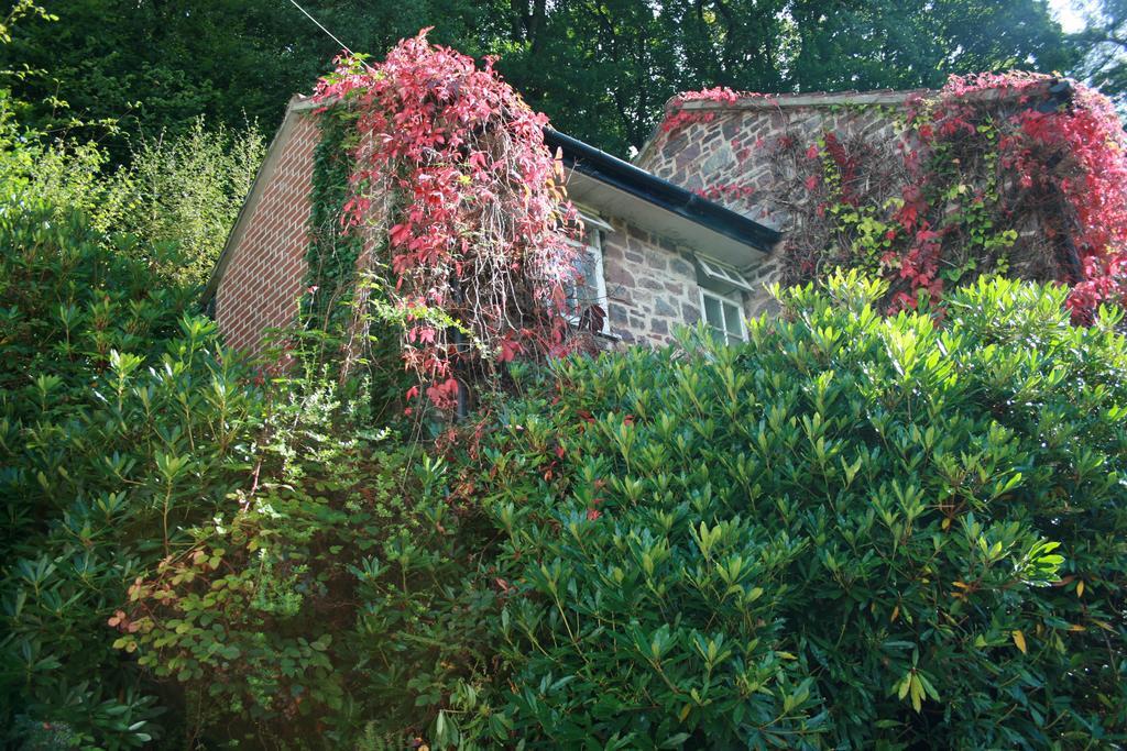 Hotel The Bark House Tiverton  Exteriér fotografie