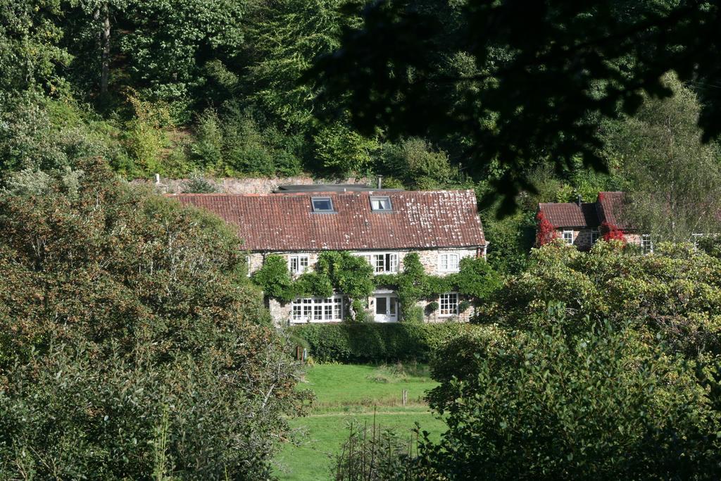 Hotel The Bark House Tiverton  Exteriér fotografie