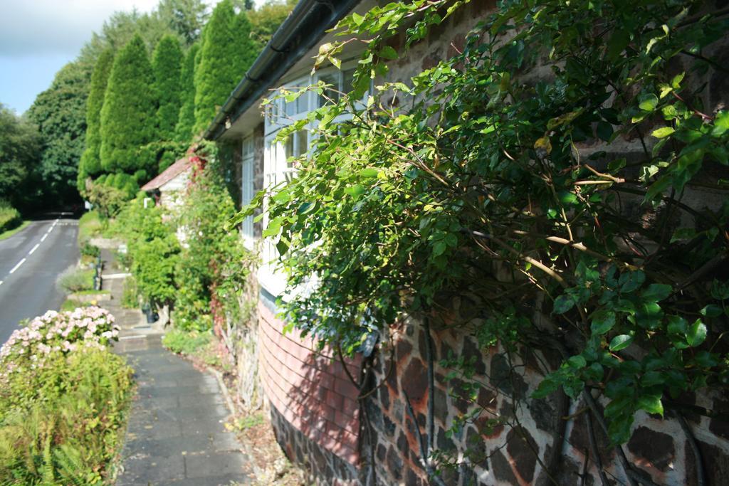 Hotel The Bark House Tiverton  Exteriér fotografie